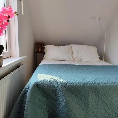 The Diesel Bed & Breakfast *